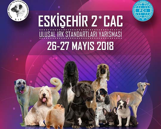 Köpek ırkları Eskişehir'de yarışacak