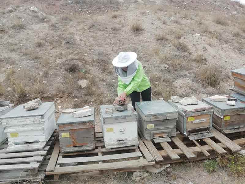Eskişehir'de arıları için  kilometreleri bisikletiyle aşıyor 27.10.2022