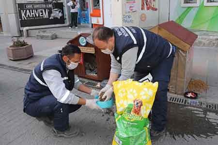 Eskişehir'de koronavirüs ile mücadele - Sokak hayvanları da unutulmadı