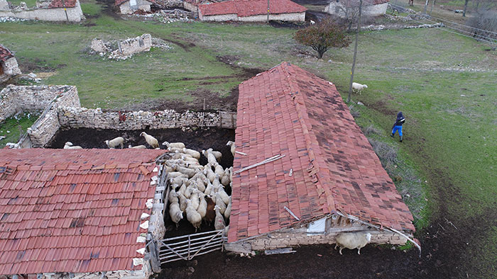 Eskişehir'de bulunan ve zamanında 60 hanelik olan Boyalı köyünde yaşanan göçler sonrası sadece bir çift yaşamını sürdürüyor. 