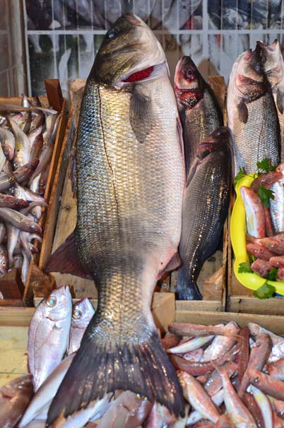  Marmara Denizi açıklarında balıkçılar tarafından yakalanan 7 kilo ağırlığındaki levrek tezgaha düşer düşmez satıldı. 