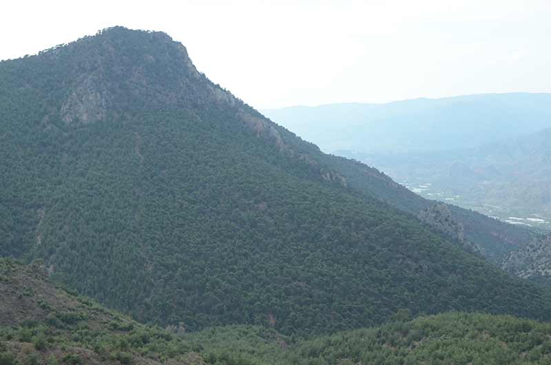 Sarıcakaya'da yüksek kesimlerde çekilen fotoğraflardaki doğa manzaraları, Karadeniz bitki örtüsüne benzerliği ile dikkat çekiyor. 
