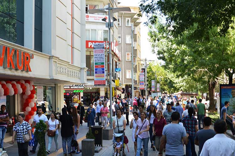 Bu sebeple Türkiye'de tek kişilik hane halkı oranı son yıllarda artış gösterirken, yalnız yaşayan kişi sayısı geçen yıl itibarıyla 3,5 milyona ulaştı. TÜİK'in tek kişilik hane halkı oranlarında da Eskişehir, yüzde 23.7 ile ilk sıralarda yer alıyor. 