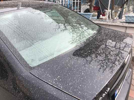 Dün akşam saatlerinde Eskişehir’de yağan yağmur sonrası araçların üzerinde çamur izleri oluştuğu görüldü.