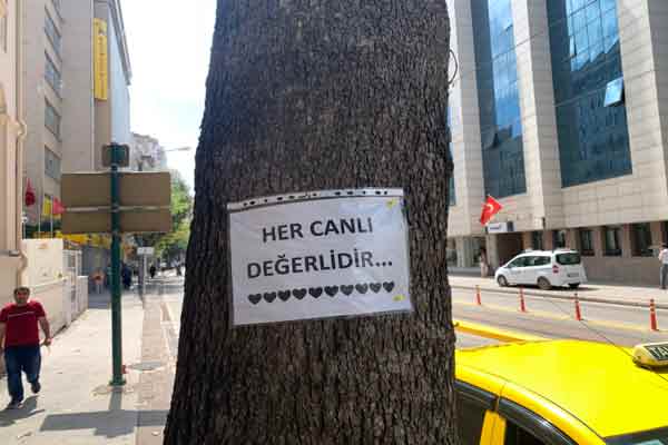  Şehrin farklı noktalarındaki ağaçların üzerine asılan sözler, yoldan geçenlere kendilerine güvenmeleri mesajını veriyor.