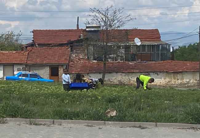 Erenköy mahallesinde bulunan boş bir araziden 6-7 küçük yaşta çocuğun ot topladığını gören vatandaşlar duruma şaşırdı.
