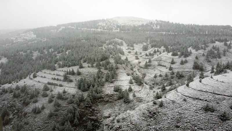 Eskişehir-Mihalgazi kara yolu kenarındaki ormanlık alanlarda bulunan ağaçlar ve bitkiler karla örtüldü. 