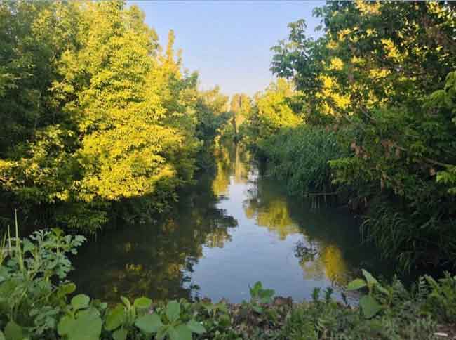 Eskişehir’in Sazova mahallesinde bulunan Sarısu Sulama Kanalı, çevrede yer alan tarım arazilerinin su ihtiyacını karşılamak için kullanılıyor. 