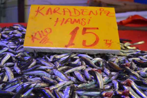 Eskişehir Taşköprü Balık Çarşısında yıllardır balıkçılık yapan Cavit Aladağ, düşen hamsi fiyatı hakkında konuştu.