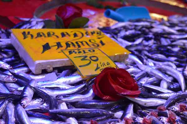 Eskişehir Taşbaşı Balık Çarşısında 2 gün önce kilosu 20-25 liraya satılan hamsinin fiyatı bugün 30 liraya çıktı.