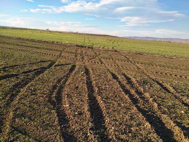 Eskişehir’de, kimliği belirsiz kişi veya kişilerin keyif yapmak için bir bölümü ekili olan arazilere ATV araçları ile girip tur atarak zarar vermeleri çiftçileri isyan ettirdi.