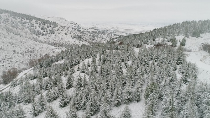 Eskişehir’i kuşbakışı izleme şansı sunan bin 200 rakımlı Bozdağ’da kar eşsiz güzellikler sundu. 