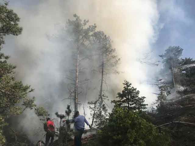 Yangında toplam 12 hektarlık bir alanın zarar gördüğü tahmin edilirken orman yangınına Büyükşehir Belediyesine ait 2 tanker su takviyesi yaptı.