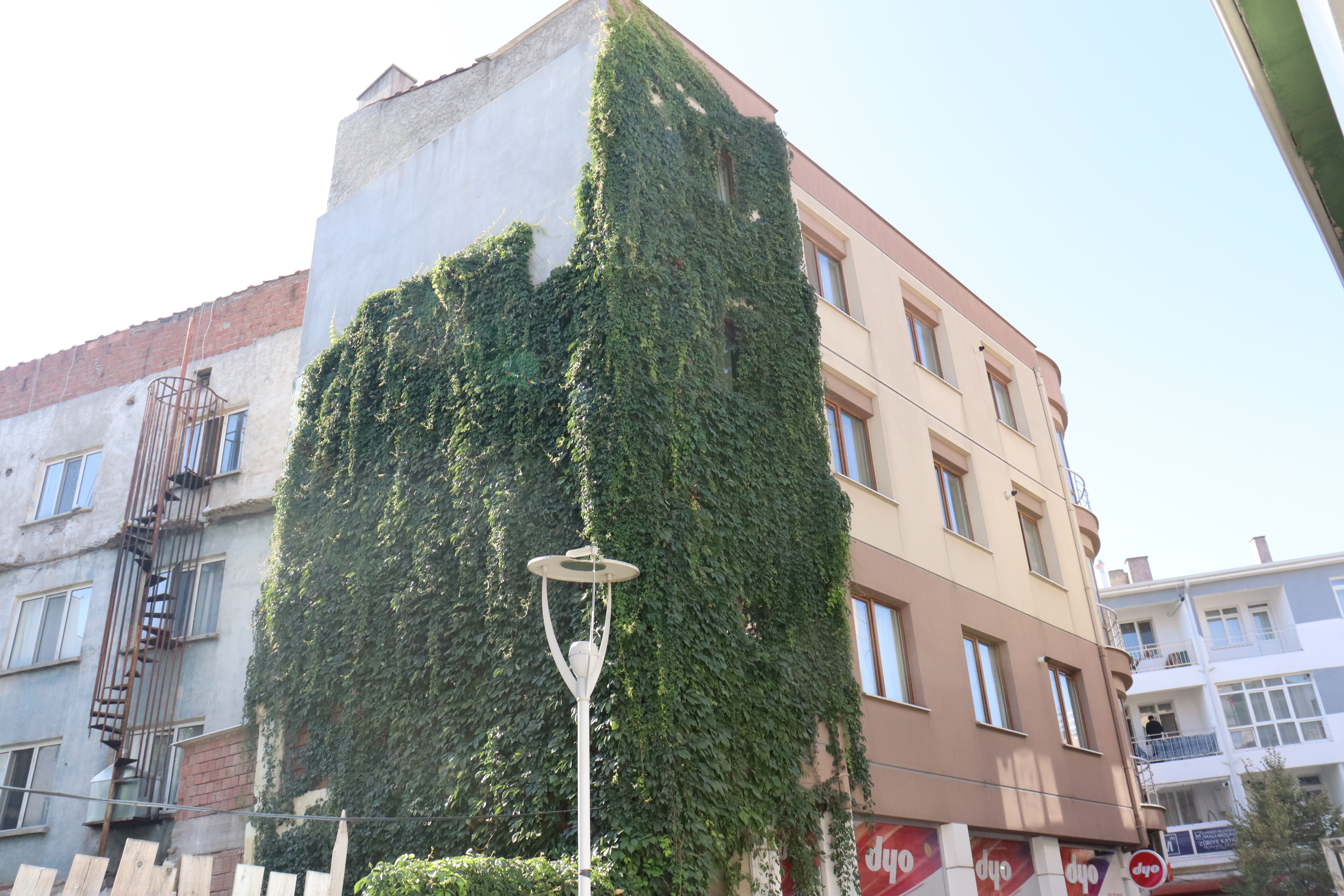 Odunpazarı İlçesi İstiklal Mahallesi Karagül Sokak'ta bulunan bir apartmanın üzerini kaplayan sarmaşıklar dikkat çekiyor.