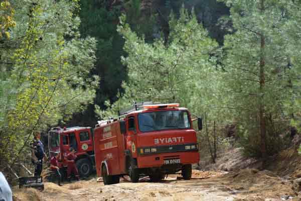 Eskişehir'in Mihalgazi ilçesinde, bir otomobilde çıkan yangın ormanlık alana sıçradı.