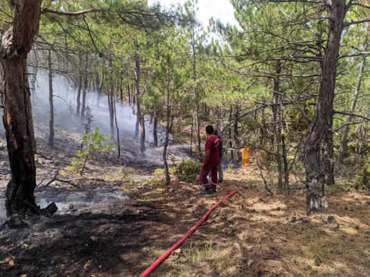 Yukarı Kuzfındık Mahallesi’nden de gelen gönüllülerinde desteği ile orman yangını kısa sürede söndürüldü.