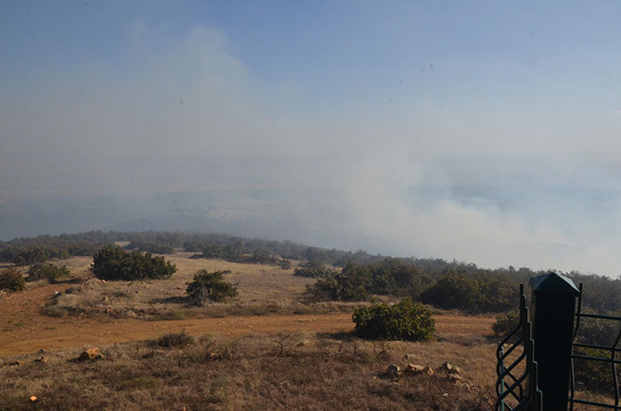 Eskişehir’in Tepebaşı ilçesinde çıkan ormanlık yangınına 200 kişilik ekiple müdahale devam ederken, şu ana kadar 15 hektarlık alan kül oldu. 
