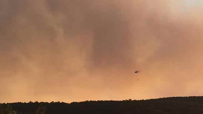 Yangını söndürme çalışmalarında 2 helikopter, 10 arazör, 4 iş makinesi ve 100 işçi görev yaparken, yangında yüzlerce ağaç kül oldu.