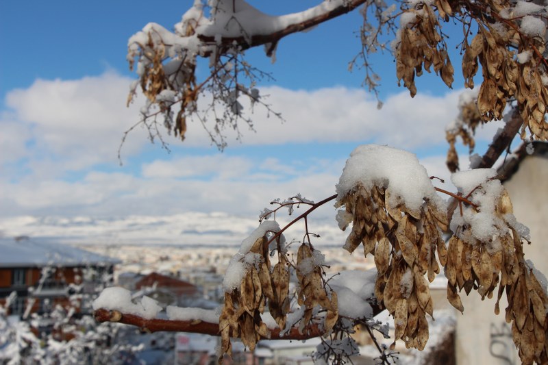 Eskişehir’i önceki gün etkisi altına alan kar yağışı kartpostallık manzaralar ortaya çıkardı. 