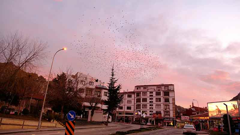  Eskişehir'in Sivrihisar ilçesinde gökyüzü gün batımı esnasında kızıla boyandı. 