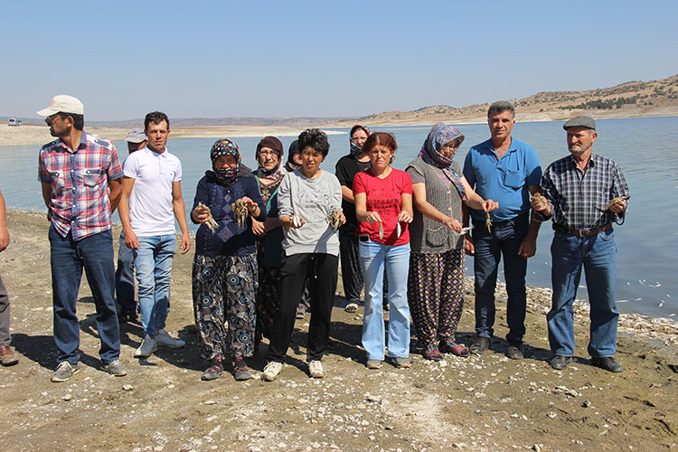 Kütahya ve Eskişehir sınırları içinde yer alan Porsuk Barajı'nda binlerce ölü balık ve kerevitin kıyıya vurması vatandaşları endişelendirdi. 