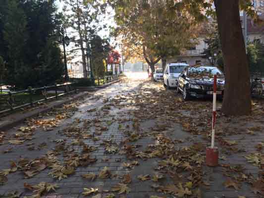 Eskişehir’de sonbahar mevsiminin son günleri yaşanırken mevsim şartlarıyla sararan yapraklar dökülmeye devam ediyor.