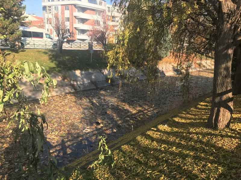 Eskişehir'de dökülen yapraklar Porsuk yüzeyini kapladı