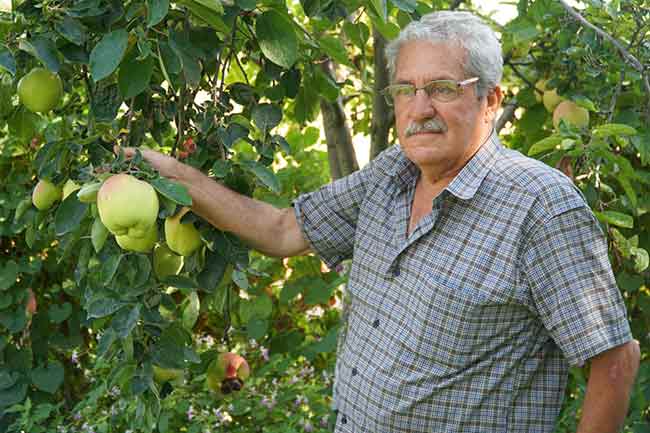 Eskişehir’in Beylikova ilçesinde yaşayan 71 yaşındaki Necmettin Bor, 10 yıl önce bahçesine bir meyve fidanı dikti.