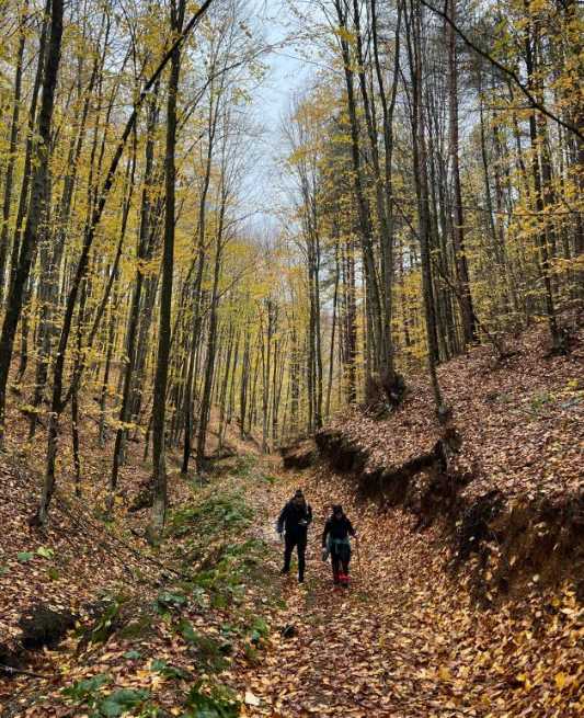 Eskişehirli doğa yürüyüşü tutkunları Bilecik Pazaryeri’nde bulunan orman içeresinde temiz hava eşliğinde engebeli arazide 13 kilometrelik yol kat etti.