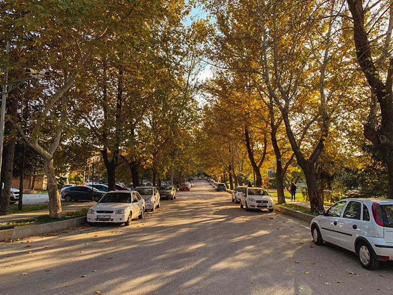Çok fazla ağaca ev sahipliği yapan Anadolu Üniversitesi’nde yeşil, yerini sonbaharın bin bir tonuna bıraktı. 