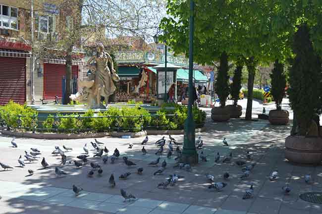 Eskişehir’de 17 günlük tam kapanmanın ilk gününde, kentteki güvercinlerin bazıları yem buldu, şanssız olanlar ise aç kaldı