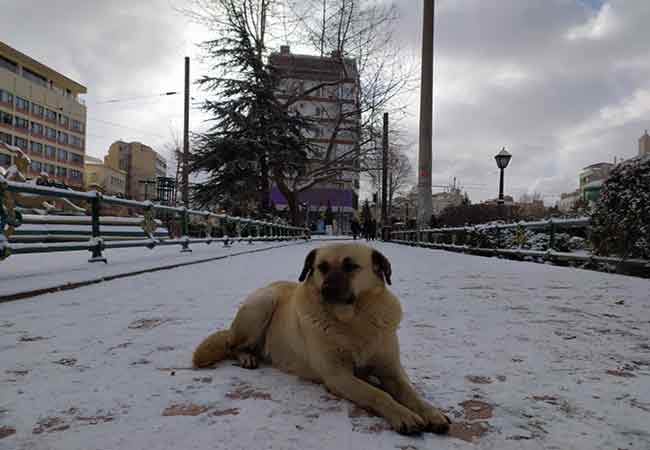 Son günlerde yurdu etkisi altına alan kar yağışı, Eskişehir’i de beyaza bürüdü.
