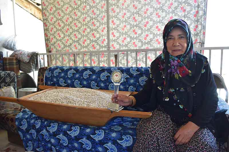 Eskişehir'in Seyitgazi ilçesinde atalarından kalma kuru fasulye tohumlarıyla üretim yapan kadın çiftçi, bu kültürü gelecek nesillere miras bırakmak istiyor.