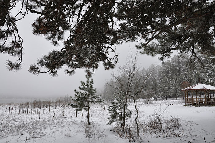 Kütahya’nın Simav ilçesine 20 kilometre uzaklıkta bulunan, bin 450 rakımlı Gölcük yörük yaylası beyaza büründü. Hafta sonu hava sıcaklıklarının düşmesiyle başlayan kar yağışı yüksek kesimlerde etkili oldu.
