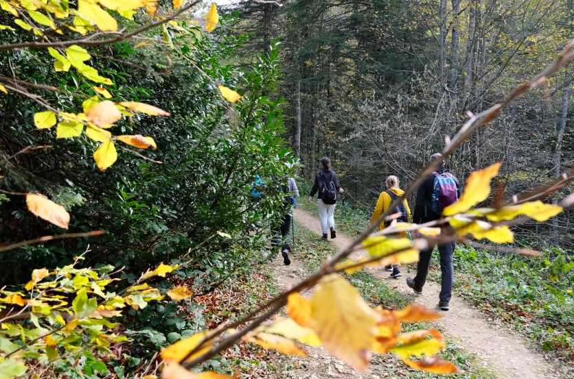 Eskişehirli doğa yürüyüşü tutkunları kente yaklaşık 85 kilometre uzaklıktaki Bursa’nın Mezitler Mahallesi’ndeki ormana yürüyüşe gitti.