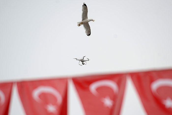 Gemlik'te bir etkinliği görüntülemek için uçurulan drone (uçangöz) martıların dikkatini çekti.