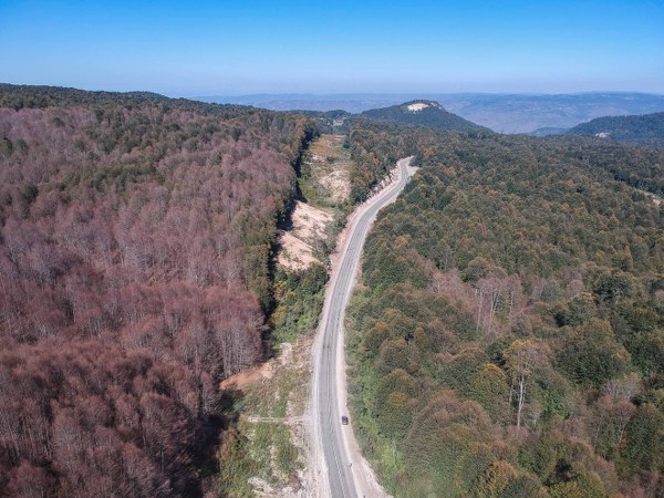 Bölgede 250 hektara yakın bir alanda görülen tırtıllar, Domaniç-İnegöl kara yolundan karşı tarafa geçmeye başladı. Bu sırada bazıları araçların altında kalarak ezildi.