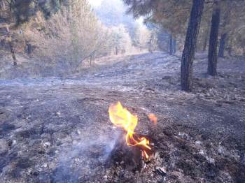 Afyonkarahisar’Da Orman Yangını Çıktı

