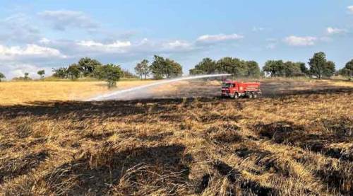 Buğday tarlasında yangın: 8 dekarlık alan zarar gördü