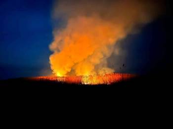 Eber Gölü’Nde Yine Yangın
