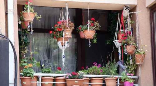 Eskişehir'de balkonlar çiçek açtı