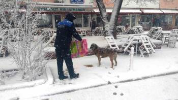 Hisarcık Belediyesi Sokak Hayvanlarını Aç Bırakmadı
