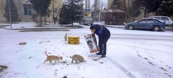 Hisarcık Belediyesi Sokak Hayvanlarını Unutmadı
