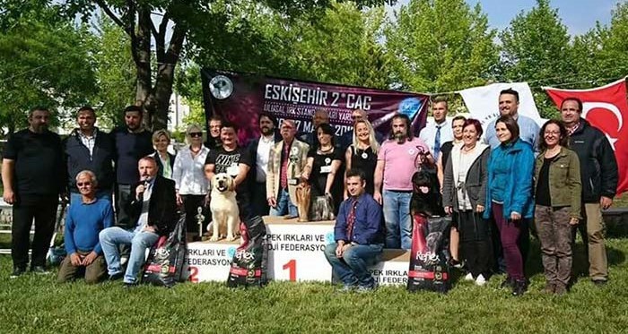 270 köpek Eskişehir'de kıyasıya yarıştı