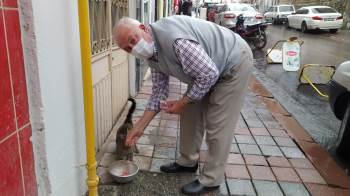 73 Yaşındaki Gurbetçi Sokak Hayvanlarını Besliyor
