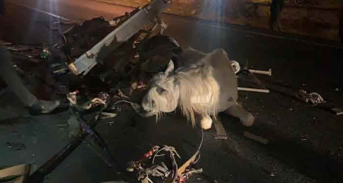 Afyon'da feci kazada yürekleri yakan görüntü!