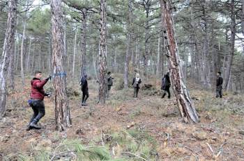 Altıntaş Akbayır Orman İşletme Şefliği’Nde Uygulamalı Tatbikat
