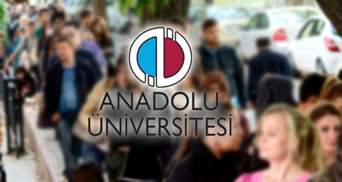 Anadolu Üniversitesi o ödülün hakkını veriyor