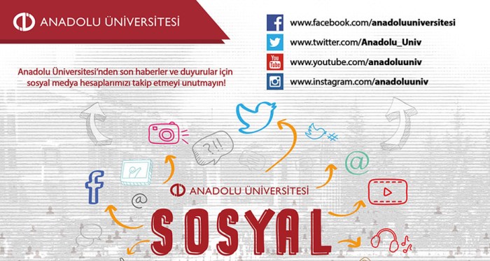 Anadolu Üniversitesi zirveye oturuyor