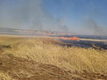 Arızalanan Biçerdöverden Çıkan Yangında 140 Dekar Buğday Ekili Alan Kül Oldu
